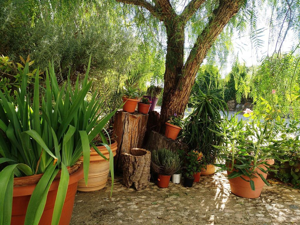 Casa Con Encanto En Alájar Exteriér fotografie